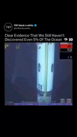 TRF BLACK N WHITE on Instagram: "Rare deep-sea footage captured by a remotely operated vehicle near an offshore oil platform revealed something extraordinary—a massive tuna estimated to be nearly 5.5 meters (18 feet) long. That’s far beyond the typical size of even the largest Atlantic bluefin tuna ever recorded. The unexpected sighting has sparked curiosity about how many extreme outliers exist beneath the surface and what conditions allow marine life to grow to such incredible sizes. Filmed du