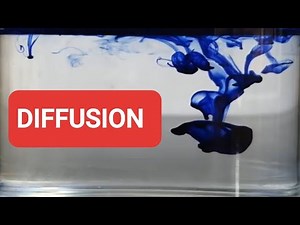 DIFFUSION and it's importance.