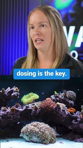 Master Water Testing & Dosing for a Thriving Reef Tank | Year of the Reef Ep. 16.
