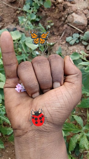 cute large grasshopper 🐞🍁😂🦗 #grasshopper #insects #shorts 2