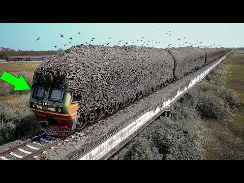 Moments Filmed Second Before Disaster | Incredible Moments #11