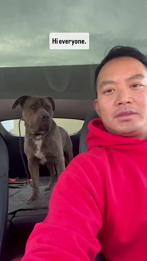 12K views · 505 reactions | This is what it’s all about! Pawsitive...