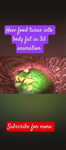 How food converts into fat in our body.#3danimation.