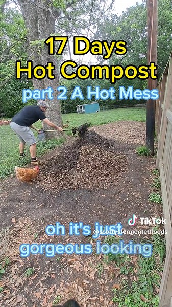 Compost Pile Part 2: The Heat of Microbial Action