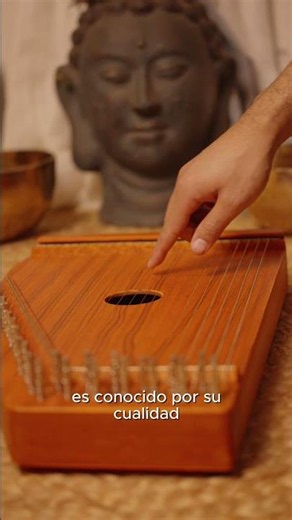Así suena el Swarmandal | Instrumento de cuerda de la India en Chile