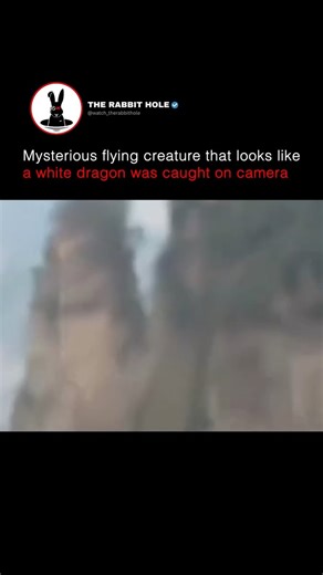 93K views · 2.4K reactions | Mysterious flying creature that looks like a white dragon was caught on camera | The Rabbit Hole | Facebook