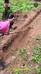 8.3K views · 853 reactions | Introducing the Trench Making...