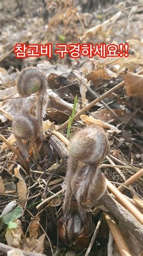 The reference fee is rising a lot!! How to eat!!