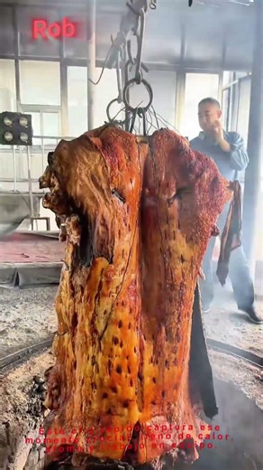 ¡El momento épico del lechón! 🐖🔥
