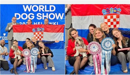 Croatia crowned with world’s most beautiful dog