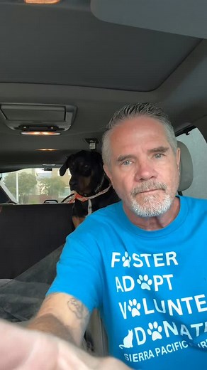 28K views · 3.6K reactions | … rescue can be cruel, it’s not easy on the soul. RIP Bello.. I never met this tiny kitten but my heart is broken for your suffering. #davidloop65 #cat #catlife #catlover #kitten | David Loop | Facebook