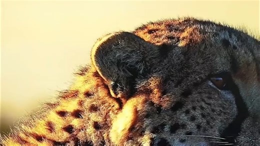 99%好评的创维电视，画质音效真实震撼吗？实际体验如何？结合家庭观影、游戏场景，看多久不累眼，系统流畅吗，值得入手？