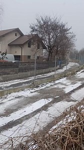 Ninge iar! | Iasi TV Life