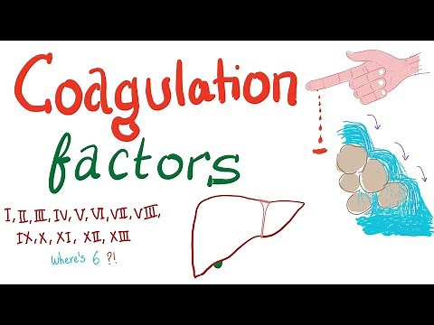 Coagulation Factors | Hemostasis | Hematology