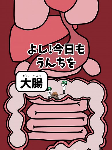 便秘のしくみを楽しく解説するアニメ