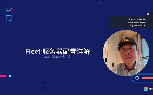 Fleet 服务器配置详解