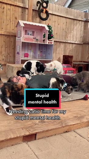 The best kind of therapy 😻 #AnimalLover #CatsofTikTok #stupidmentalhealth #fyp #putmefirst