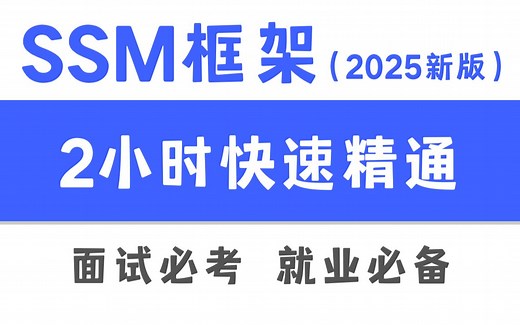 【2025新版】SSM框架入门到精通完整版教程（Mybatis Spring SpringMVC）
