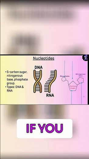 Nucleotide Structure: Unveiling the 3 Main Parts