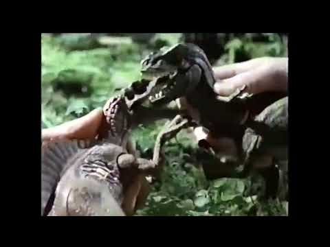 Jurassic Park III Spinosaurus vs. T. Rex Battle Pack (Hasbro) TV Commercial - 2001