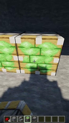 This SECRET DOOR Can’t Be SEEN 😈 | Minecraft Shorts