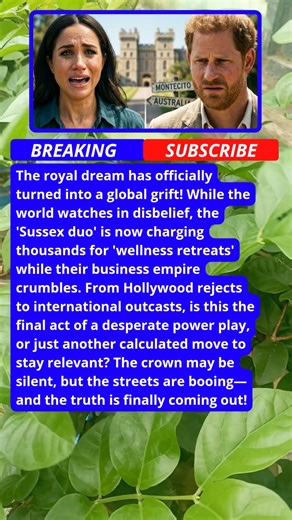 Why Australia is BOOING Meghan Markle! 🇦🇺​ #royalfamily #shorts