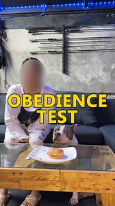 obedience test | Queen BK