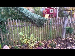 Samsung Galaxy Note 4 Squirrel Camera Test [4K UHD]