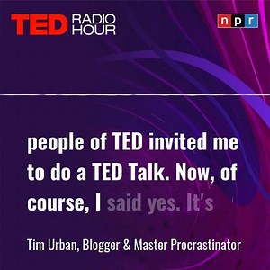 4.1K views | Tim Urban is a master procrastinator and doesn’t think non-procrastinators exist. One of his largest project’s he procrastinated in doing? ...his TED Talk. | TED Radio Hour | Facebook