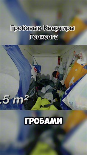 Surviving in Your Apartment: Tips and Ideas