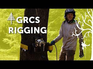 Rigging down 90' oak with GRCS | Good Rigging Control System | Job Breakdown
