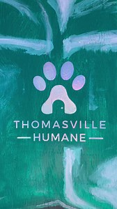 The Harvest Hooligans brought all sorts of mischief this weekend to the Boston Mini Marathon and Bed Race! We were so proud to win the “Spirit Award” for the most creative bed design, and we had an awesome time introducing some of our adoptable friends to the amazing community that surrounds them! 🐾 #thomasvillehumane #bostonga #bostonminimarathon #bedrace #adopt #adoptionevent #harvesthooligans #fallfun | Thomasville Humane