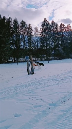 Overcoming Challenges: Get Back Up After Falling Down