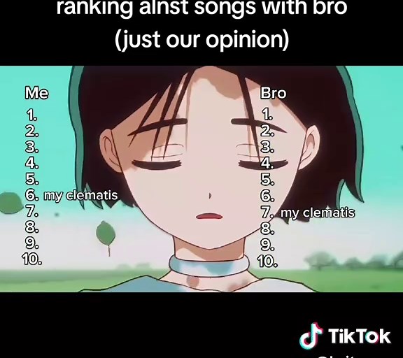 Ranking Amazing ALNST Songs: Our Top Picks