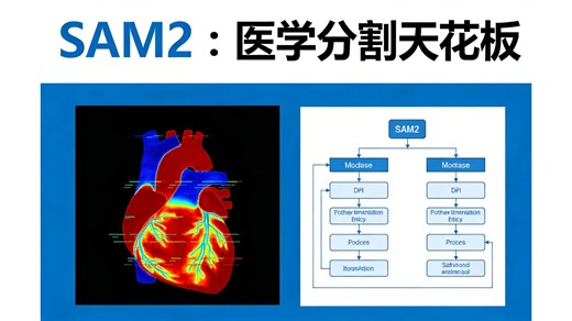 【SAM2医学AI巅峰】从源码解析到心脏视频分割实战！全程通俗易懂，学完可轻松搞定导师布置的任务！