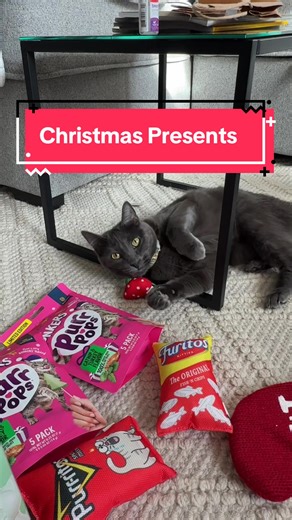 My cats opening Christmas presents 🎁🐱 The cutest Christmas chaos you’ll see today! #catsoftiktok #catpresents #christmasgifts #catparent #cutecat
