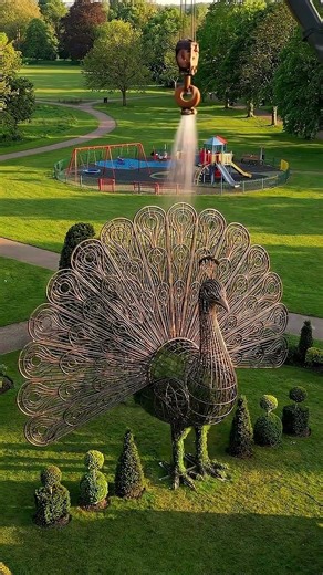 Satisfying Park Makeover: Growing a Massive Peacock Sculpture