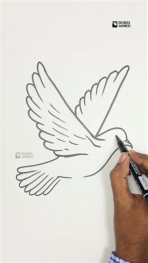 Easy Pigeon Drawing Tutorial for Beginners