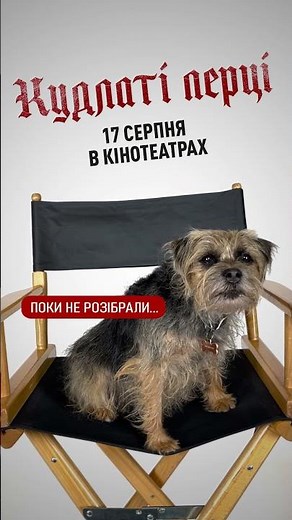 Кудлаті перці. 17 серпня у кіно