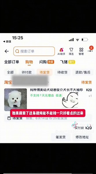 20元茶杯狗真相：網購幼犬遇見什麼？