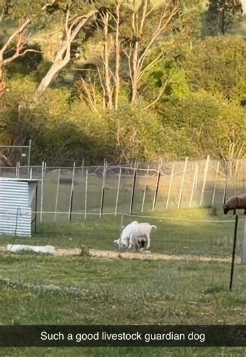 Lydia Rotary on Reels