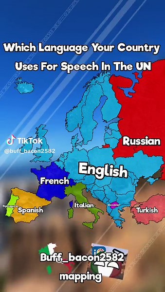 Which language your country uses at UN