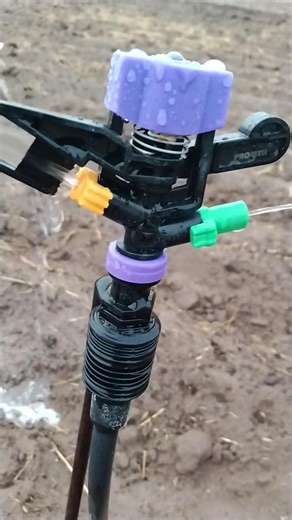 How Sprinkler Irrigation Works in Farming 🌱💦. #sprinklerirrigation #farming #agriculture #farmlife