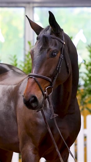 3.8K views · 5.8K reactions | Endspurt für unsere High Level...