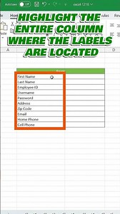 Automatically Align Columns in Excel