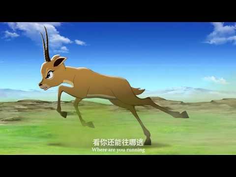 The King of Tibetan Antelope