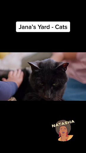 Jana’s Yard on TikTok