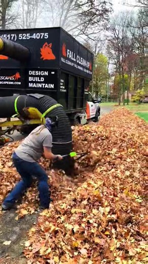 53K views · 174 reactions | DON'T ever use a LEAF BLOWER for FALL cleanups #lawntok #lawncare #fyp #satisfying | Garden Care | Facebook