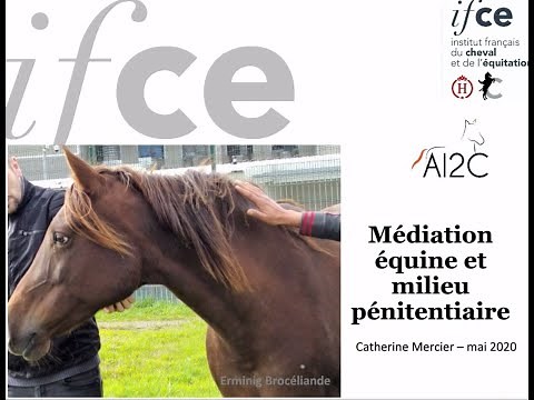 Médiation équine des chevaux et des prisonniers - Catherine Mercier