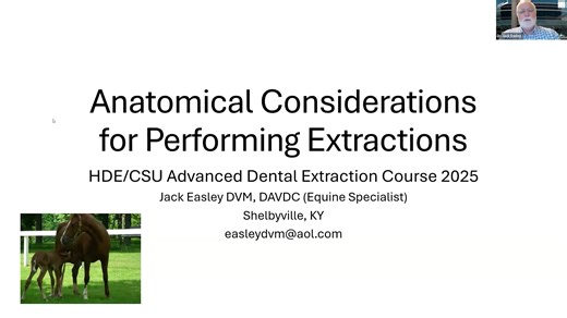 Webinar HDE - Extraction Planning - Dr. Rawlinson, Dr. Rice, Dr. Easley